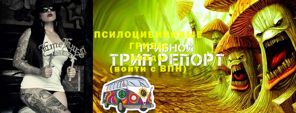 скорость Баксан