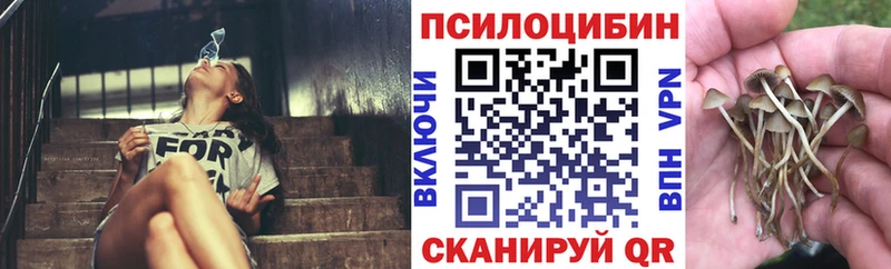 Псилоцибиновые грибы Psilocybe  мега зеркало  Валдай  где купить наркоту 